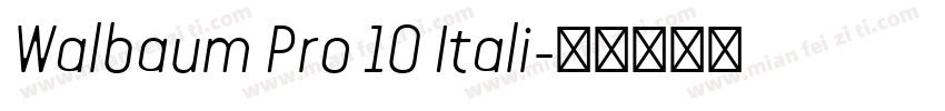 Walbaum Pro 10 Itali字体转换
